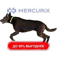 Медицинский симулятор собаки